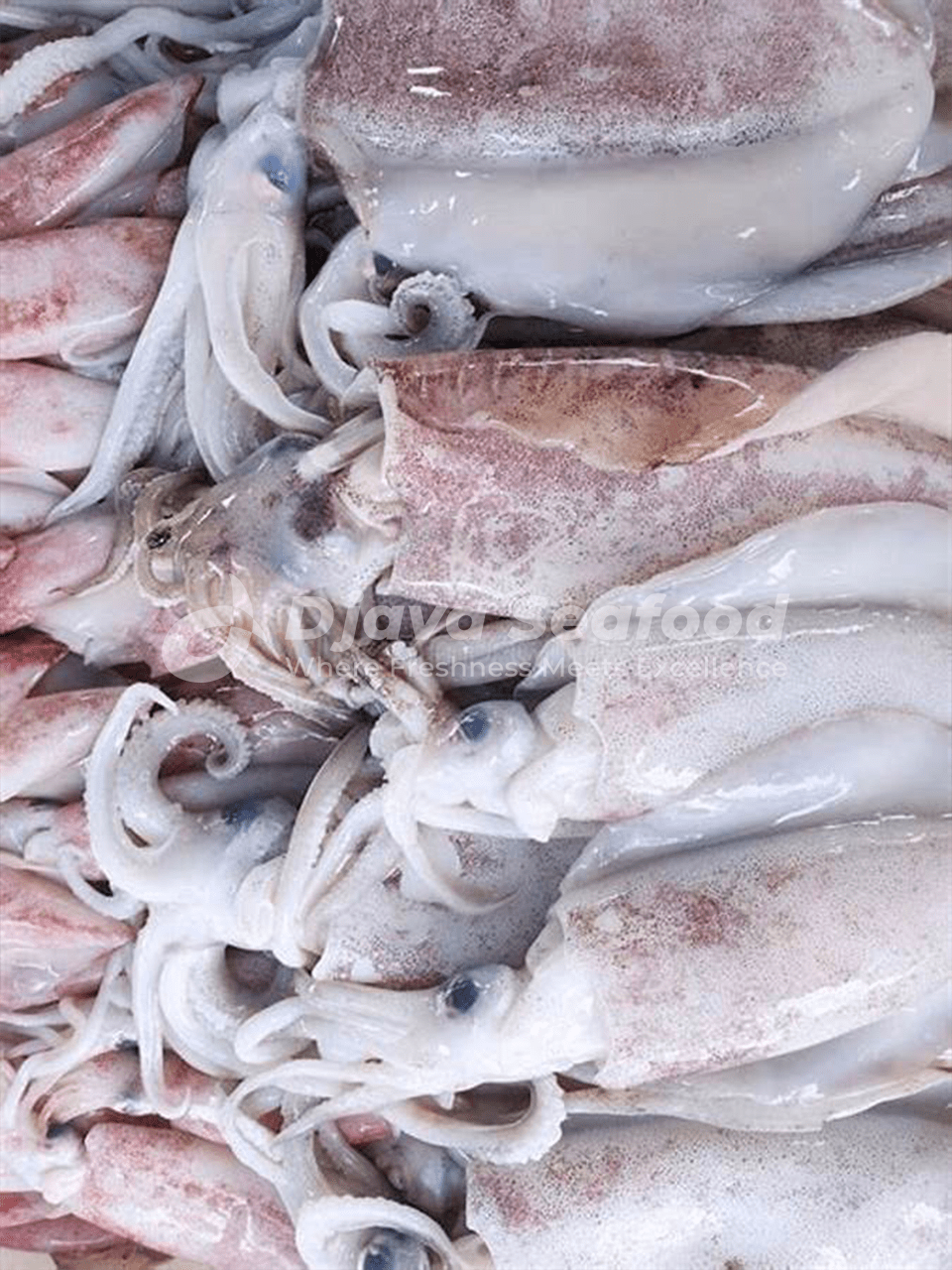 No.1 Indonesian seafood supplier