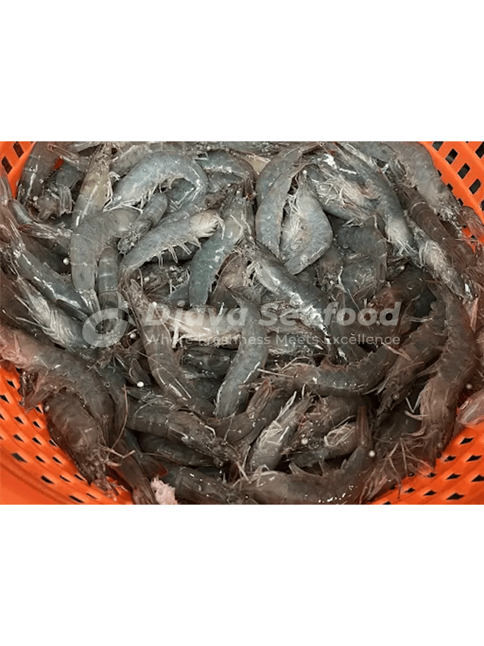 No.1 Indonesian seafood supplier