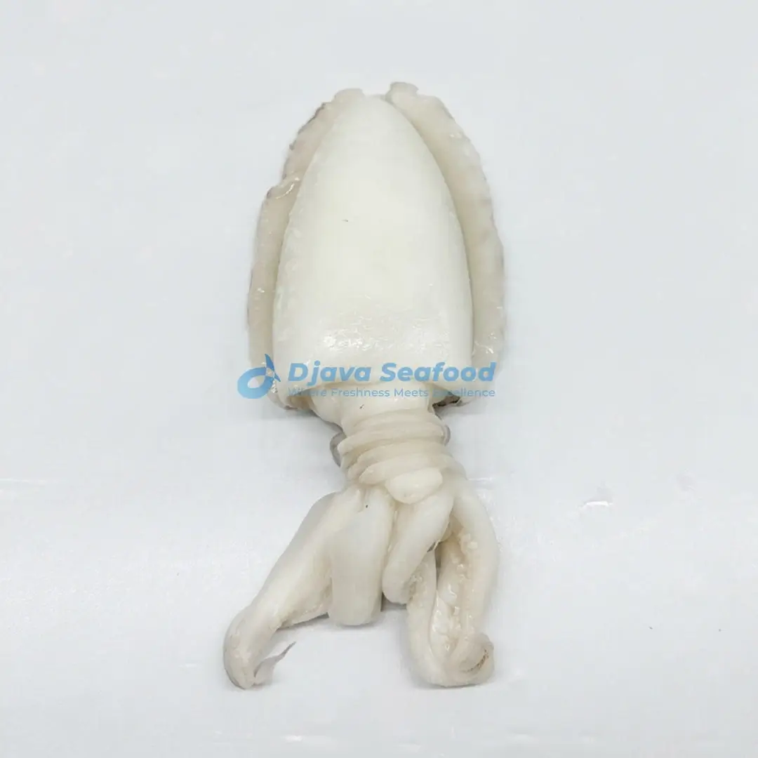 cuttle1