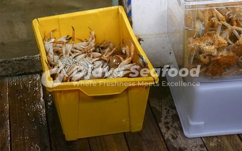 Djava Seafood | No.1 Indonesian Seafood Supplier